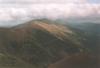 nizketatry103